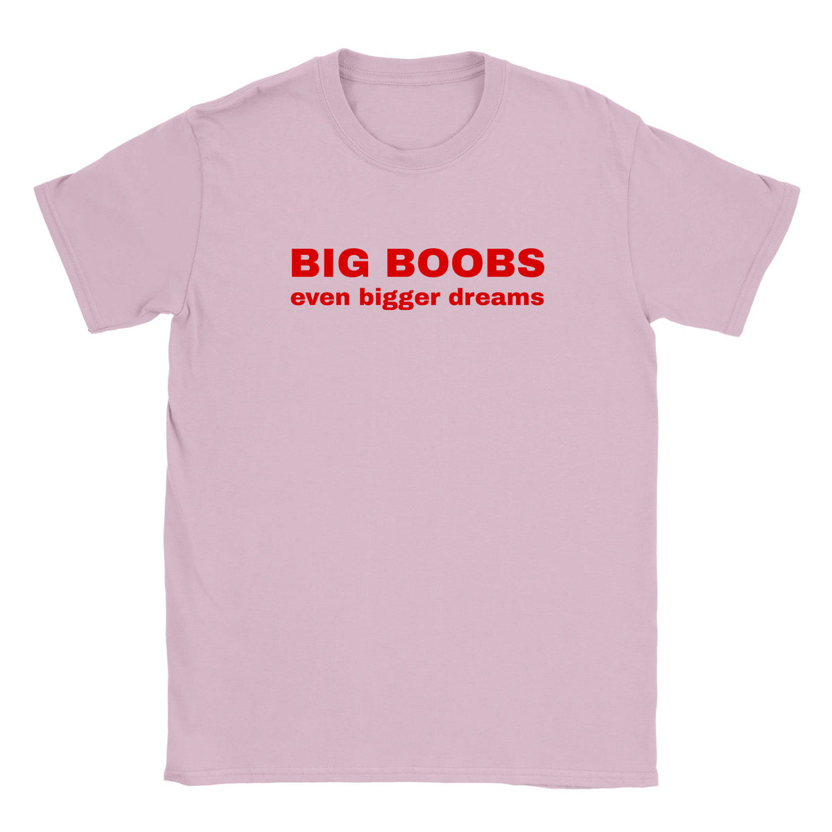 BIG BOOBS EVEN BIGGER DREAMS - BABY TEE – Light Pink