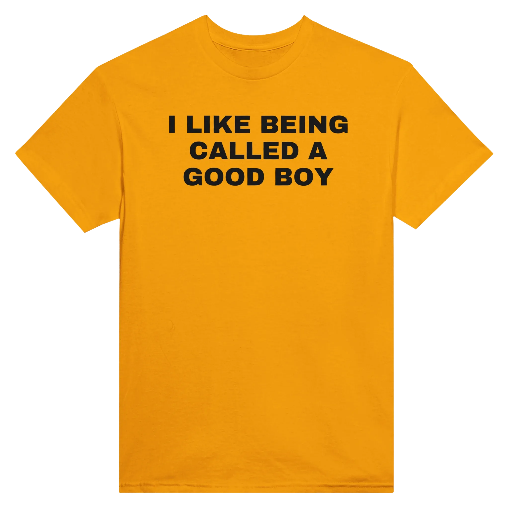 I LIKE BEING CALLED A GOOD BOY - TEE – Gold
