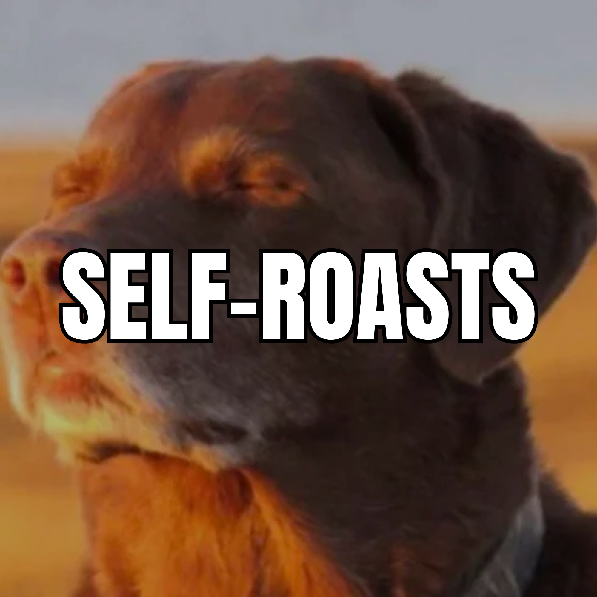 SELF-ROASTS