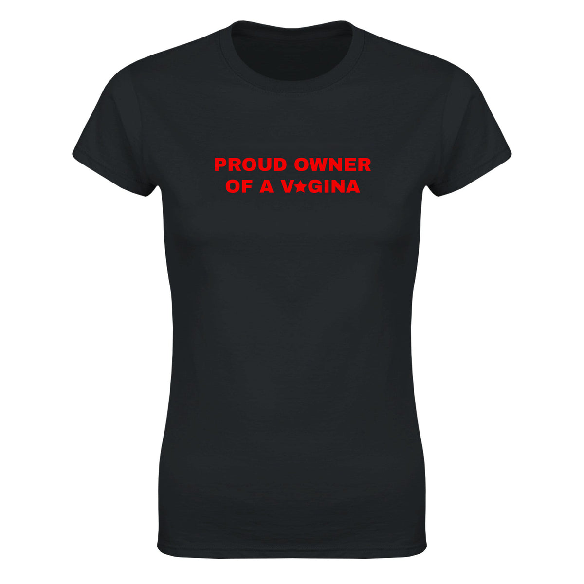 PROUD OWNER OF A V GINA - WOMEN'S TEE – Black