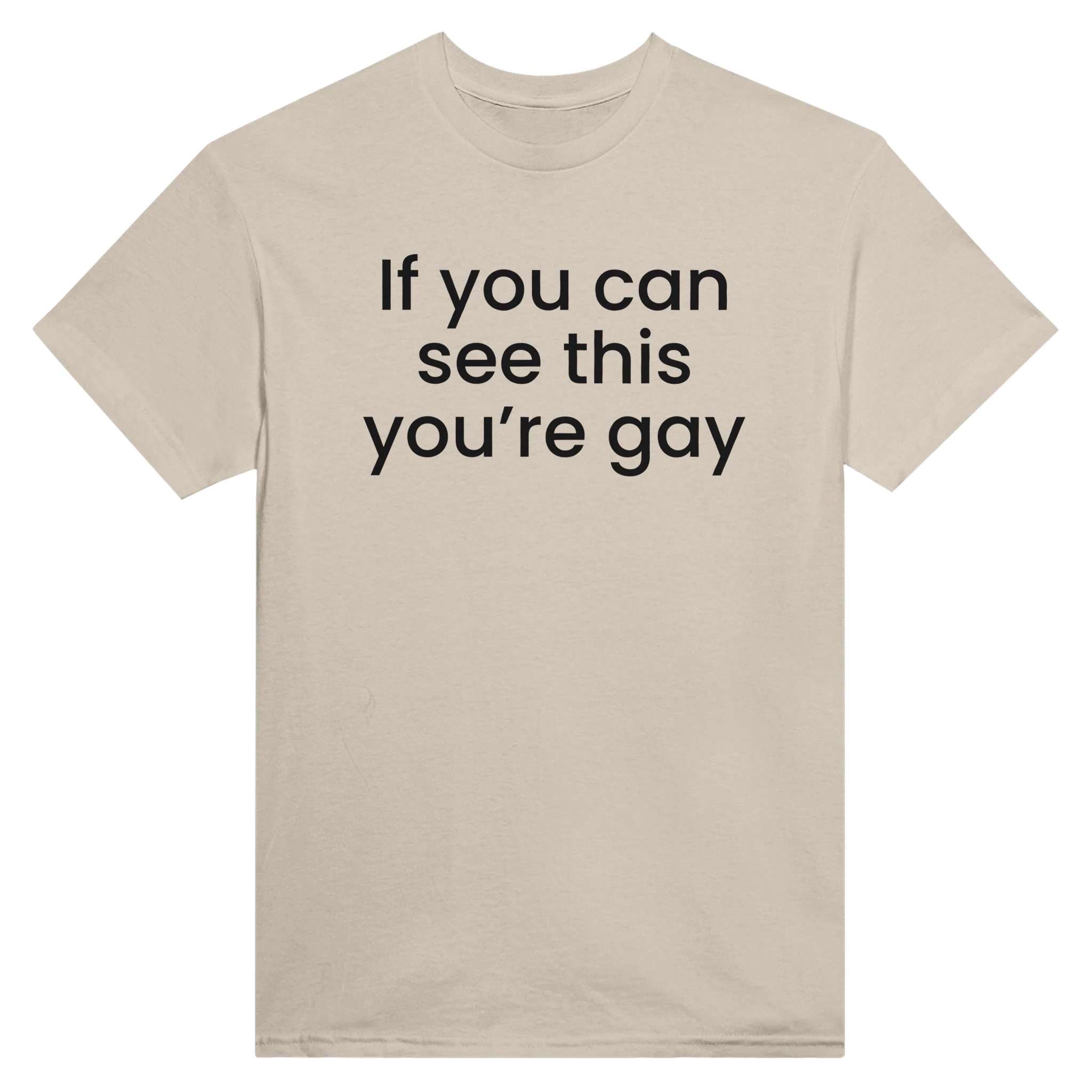 IF YOU CAN SEE THIS YOU'RE GAY - TEE – Sand